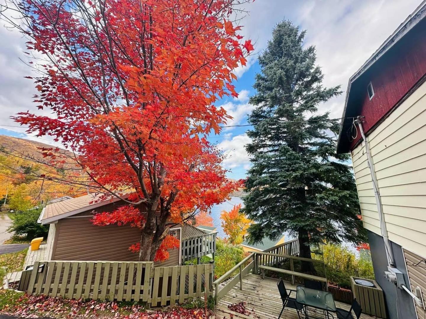 Knotty Pine Cottages, Suites & Motel Rooms อินโกนิช ภายนอก รูปภาพ